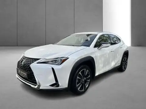 Annonce LEXUS UX Hybride 2021 d'occasion 