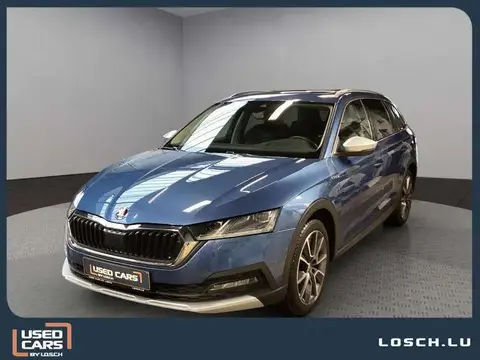 Annonce SKODA OCTAVIA Diesel 2021 d'occasion 