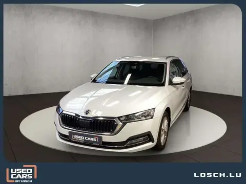 Annonce SKODA OCTAVIA Diesel 2024 d'occasion 