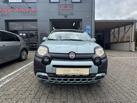 Annonce FIAT PANDA Hybride 2020 d'occasion 