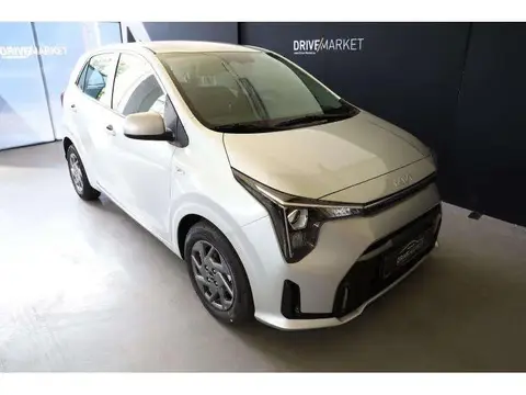 Used KIA PICANTO Petrol 2024 Ad 