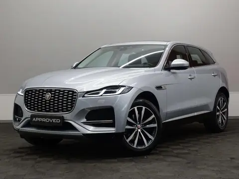 Annonce JAGUAR F-PACE Diesel 2021 d'occasion 