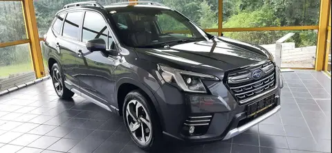 Annonce SUBARU FORESTER Essence 2024 d'occasion 