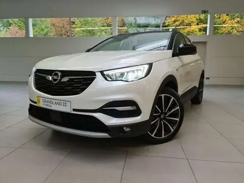 Used OPEL GRANDLAND Hybrid 2020 Ad 