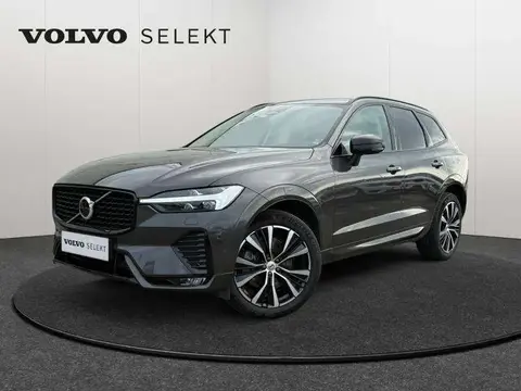 Annonce VOLVO XC60 Diesel 2023 d'occasion 