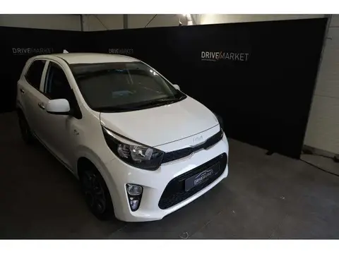 Used KIA PICANTO Petrol 2023 Ad 