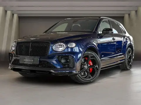 Used BENTLEY BENTAYGA Petrol 2024 Ad 