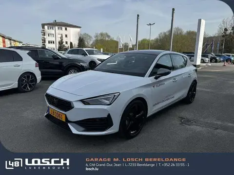 Used CUPRA LEON Petrol 2024 Ad 