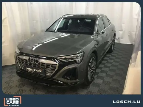 Used AUDI Q8 Electric 2023 Ad 