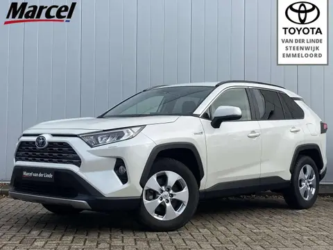 Used TOYOTA RAV4 Hybrid 2019 Ad 