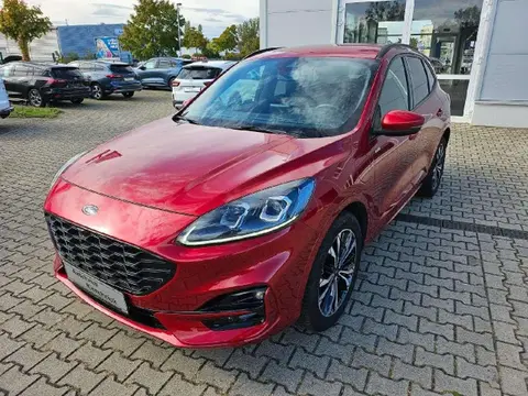 Used FORD KUGA Hybrid 2020 Ad 