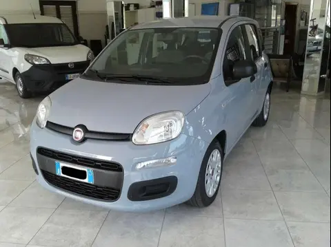 Used FIAT PANDA Hybrid 2021 Ad 