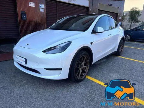 Used TESLA MODEL Y Electric 2021 Ad 