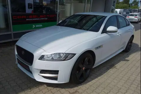 Used JAGUAR XF Diesel 2016 Ad 