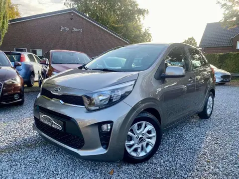 Used KIA PICANTO Petrol 2017 Ad 