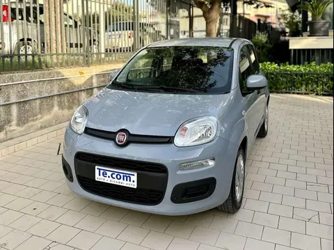 Annonce FIAT PANDA Hybride 2022 d'occasion 