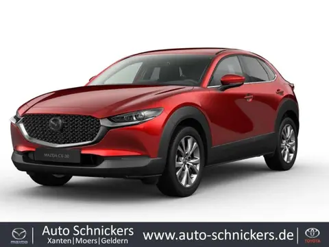 Annonce MAZDA CX-30 Essence 2024 d'occasion 