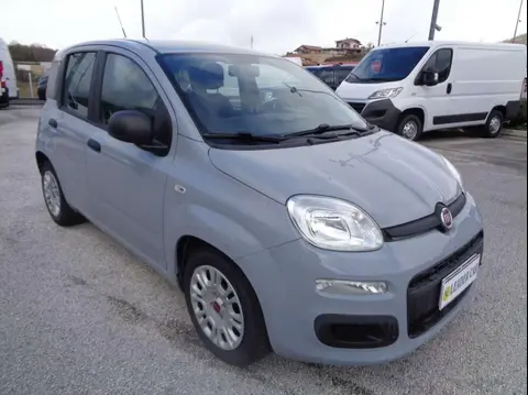 Annonce FIAT PANDA Essence 2019 d'occasion 