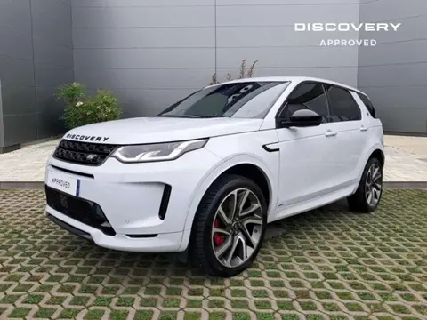 Annonce LAND ROVER DISCOVERY  2020 d'occasion 