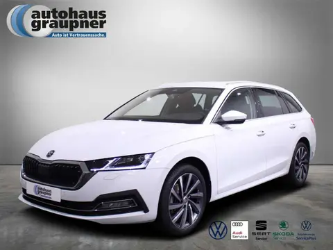 Annonce SKODA OCTAVIA Essence 2023 d'occasion 