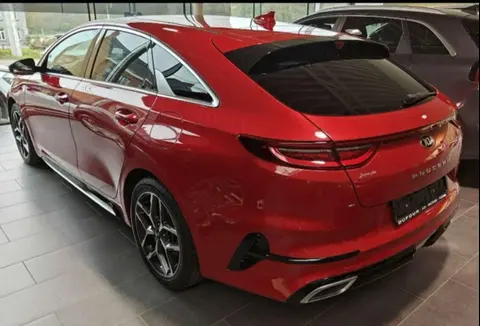 Used KIA PROCEED Petrol 2020 Ad 