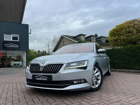 Annonce SKODA SUPERB Diesel 2017 d'occasion 