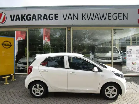 Used KIA PICANTO Petrol 2022 Ad 