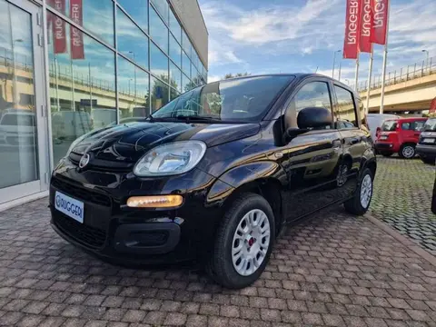 Used FIAT PANDA LPG 2017 Ad 