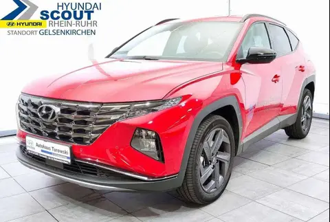 Annonce HYUNDAI TUCSON Hybride 2024 d'occasion 