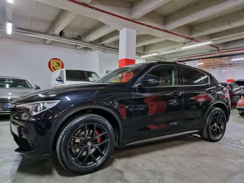 Used ALFA ROMEO STELVIO Diesel 2019 Ad 