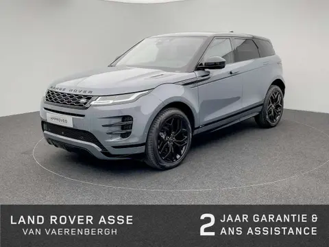 Annonce LAND ROVER RANGE ROVER EVOQUE Essence 2023 d'occasion 