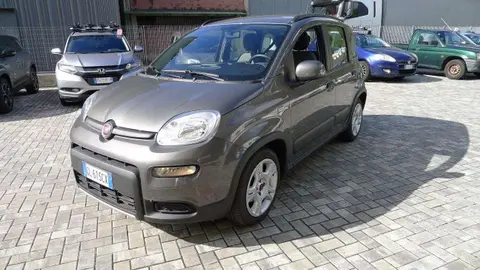 Used FIAT PANDA Hybrid 2022 Ad 