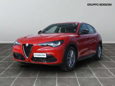 Annonce ALFA ROMEO STELVIO Diesel 2024 d'occasion 