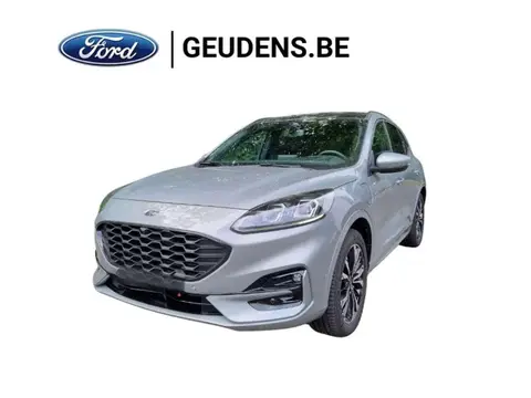 Annonce FORD KUGA Hybride 2023 d'occasion 