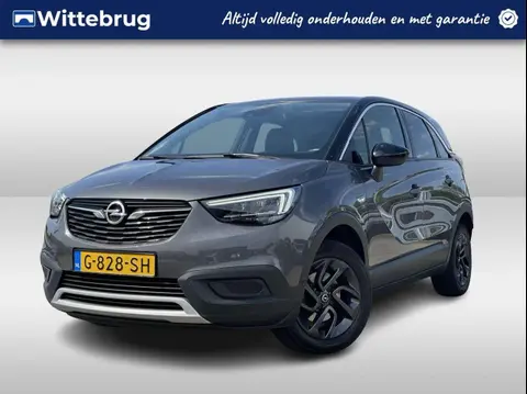 Used OPEL CROSSLAND Petrol 2019 Ad 