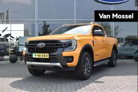 Annonce FORD RANGER Diesel 2024 d'occasion 