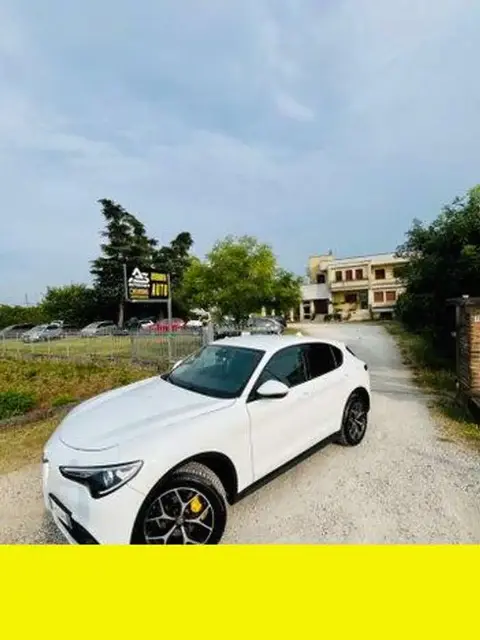 Used ALFA ROMEO STELVIO Diesel 2019 Ad 