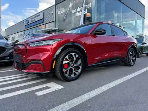 Annonce FORD MUSTANG Électrique 2022 d'occasion Belgique