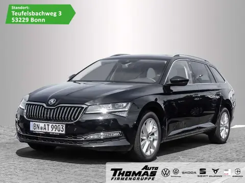 Annonce SKODA SUPERB Diesel 2024 d'occasion 