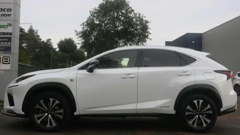 Annonce LEXUS NX Hybride 2020 d'occasion 