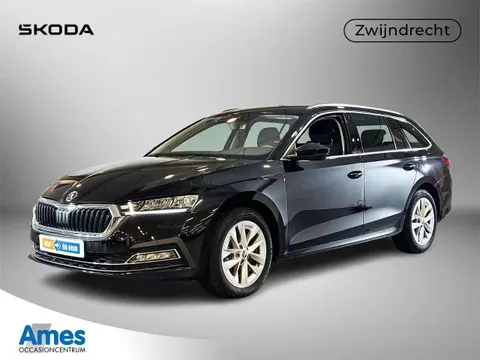 Annonce SKODA OCTAVIA Essence 2023 d'occasion 