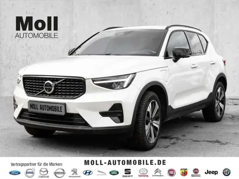 Annonce VOLVO XC40 Hybride 2023 d'occasion 