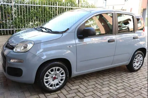 Annonce FIAT PANDA Essence 2020 d'occasion 