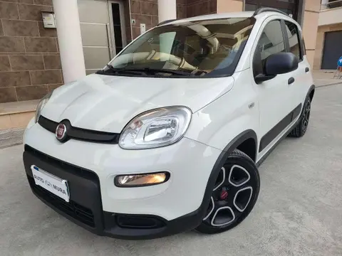 Annonce FIAT PANDA Hybride 2021 d'occasion 