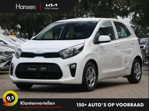 Annonce KIA PICANTO Essence 2024 d'occasion 