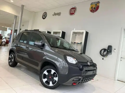 Used FIAT PANDA Petrol 2023 Ad 