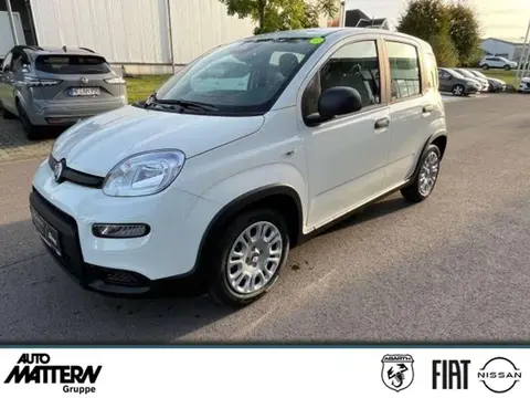 Annonce FIAT PANDA Essence 2024 d'occasion 