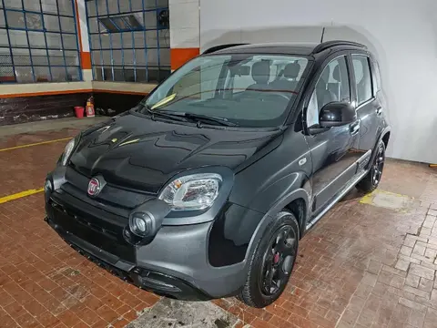 Used FIAT PANDA Hybrid 2023 Ad 