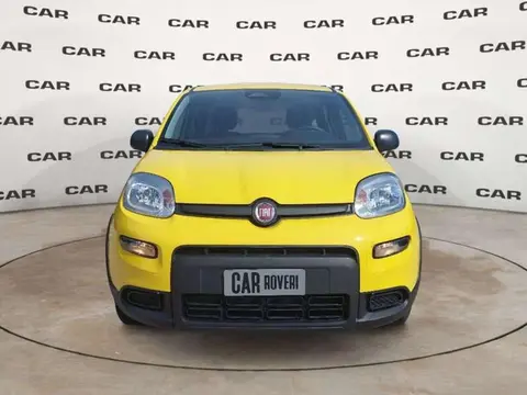 Annonce FIAT PANDA Hybride 2024 d'occasion 