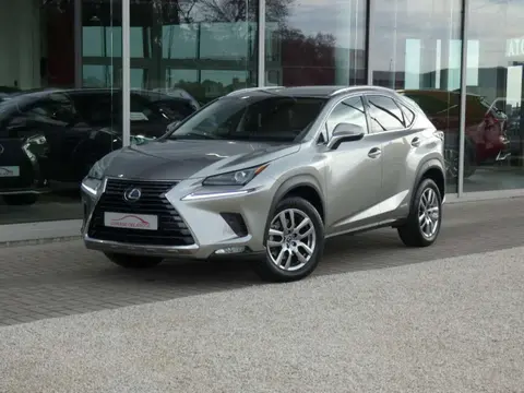 Annonce LEXUS NX Hybride 2022 d'occasion 